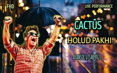 sei-je-holud-pakhi-lyrics-translation-english-cactus